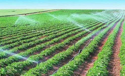 免费女同性恋三级片在线农田高 效节水灌溉